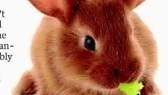 The garden of eatin'